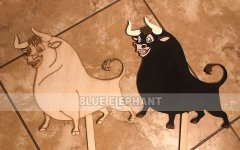 蓝狮注册激光数控开料机样品展示